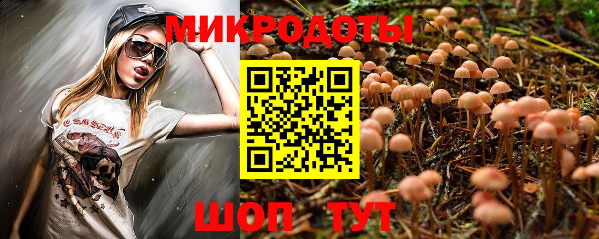 Псилоцибиновые грибы прущие грибы  цена   Владимир  Вход с VPN 
